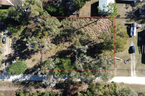 Land in Ocala, Florida № 2229653