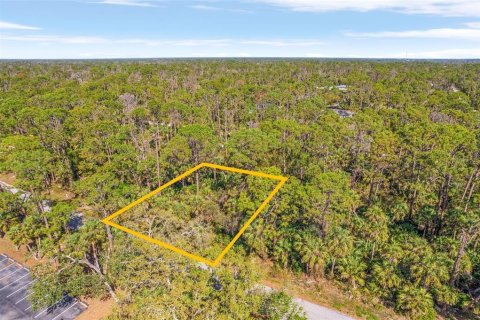 Land in Port Charlotte, Florida № 2165443