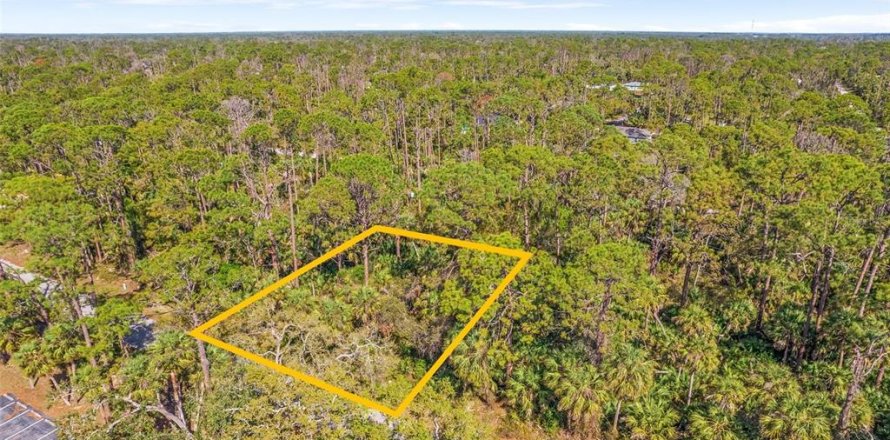 Land in Port Charlotte, Florida № 2165443