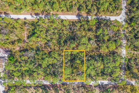 Land in Port Charlotte, Florida № 2165443 - photo 2