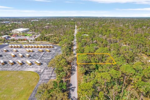 Land in Port Charlotte, Florida № 2165443 - photo 4