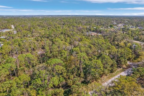 Land in Port Charlotte, Florida № 2165443 - photo 3