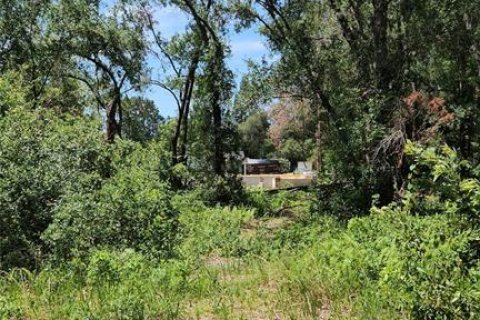 Land in Tampa, Florida № 1824510 - photo 3