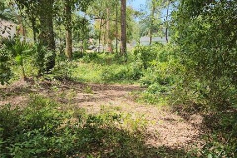 Land in Tampa, Florida № 1824510 - photo 1