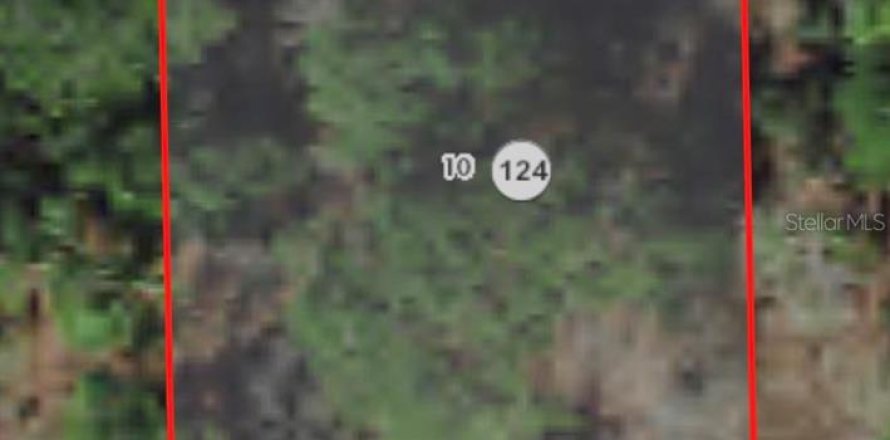 Земельный участок в Ситрэс-Спрингс, Флорида № 2162113