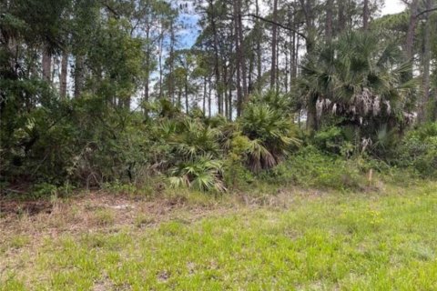 Terrain à vendre à Inverness, Floride № 2165709 - photo 5