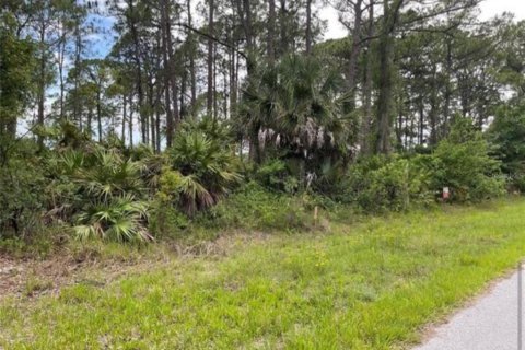 Terrain à vendre à Inverness, Floride № 2165709 - photo 6
