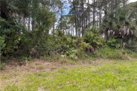 Terrain à Inverness, Floride № 2165709