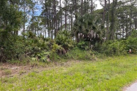 Terrain à vendre à Inverness, Floride № 2165709 - photo 3