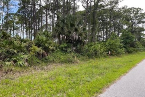Terrain à vendre à Inverness, Floride № 2165709 - photo 2