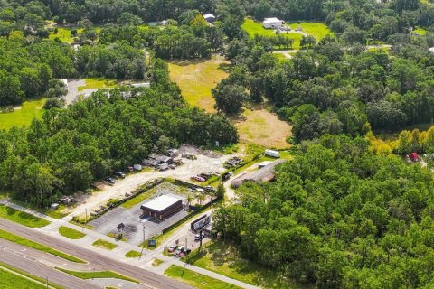 Land in Brooksville, Florida № 2384426 - photo 23