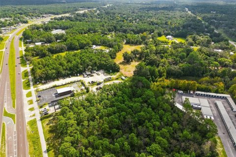 Land in Brooksville, Florida № 2384426 - photo 18