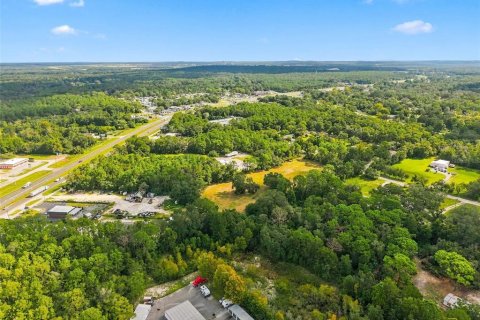 Land in Brooksville, Florida № 2384426 - photo 17