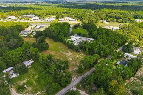 Land in Brooksville, Florida № 2384426 - photo 16