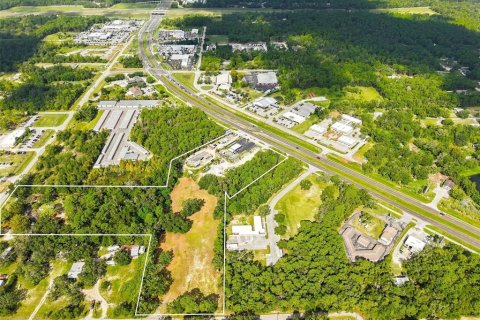 Land in Brooksville, Florida № 2384426 - photo 5