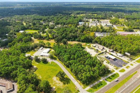 Land in Brooksville, Florida № 2384426 - photo 13