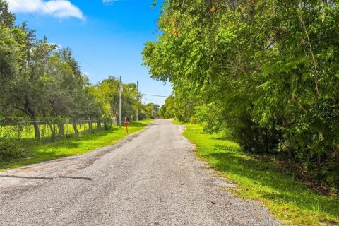 Land in Brooksville, Florida № 2384426 - photo 10