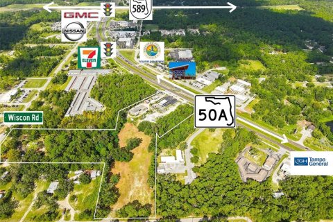Land in Brooksville, Florida № 2384426
