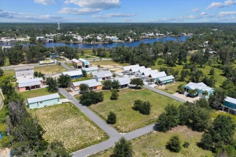 Land in Steinhatchee, Florida № 2159213 - photo 9