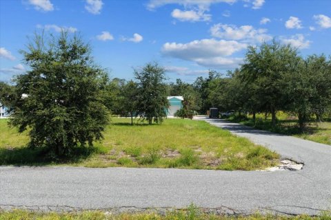 Land in Steinhatchee, Florida № 2159213 - photo 2