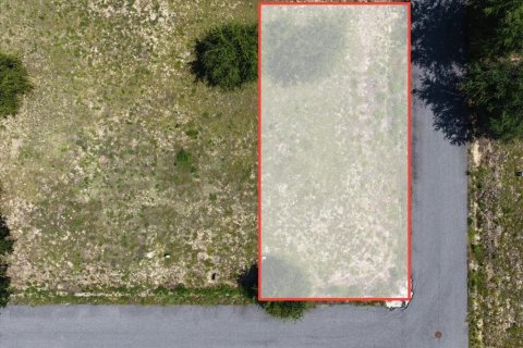 Land in Steinhatchee, Florida № 2159213 - photo 5