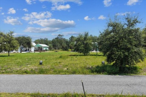 Land in Steinhatchee, Florida № 2159213 - photo 3
