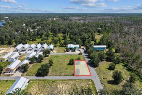 Land in Steinhatchee, Florida № 2159213 - photo 4