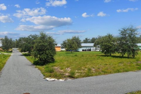 Land in Steinhatchee, Florida № 2159213