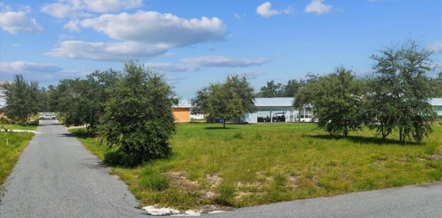 Land in Steinhatchee, Florida № 2159213
