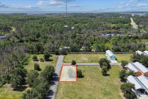 Land in Steinhatchee, Florida № 2159213 - photo 6