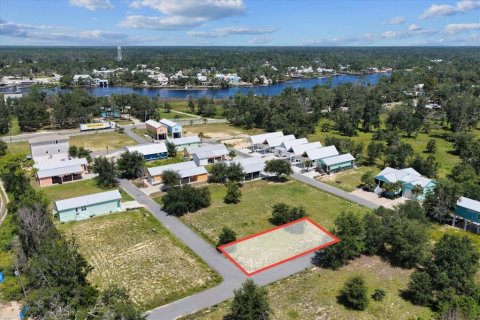 Land in Steinhatchee, Florida № 2159213 - photo 7