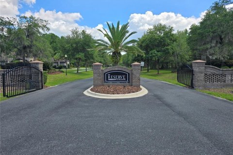 Land in Gainesville, Florida № 1255363 - photo 2