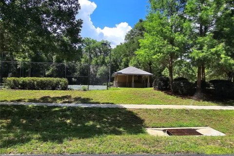 Land in Gainesville, Florida № 1255363 - photo 6