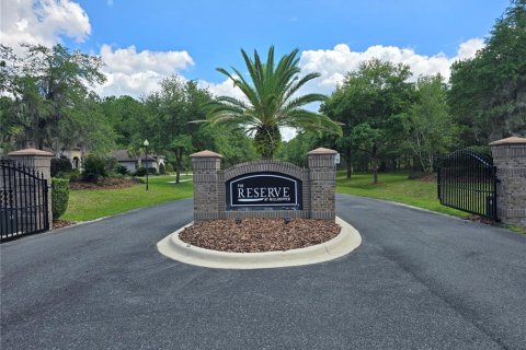 Land in Gainesville, Florida № 1255363 - photo 3