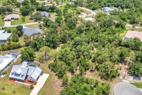 Land in Punta Gorda, Florida № 1679861 - photo 5