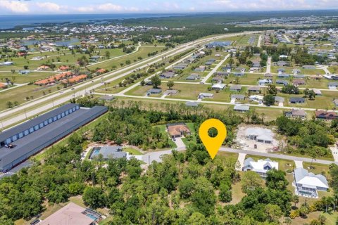 Land in Punta Gorda, Florida № 1679861 - photo 3