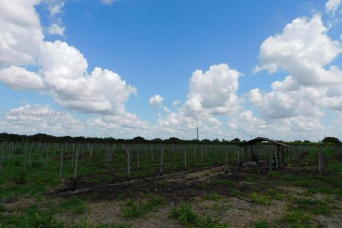 Immobilier commercial à Miami, Floride № 2019068