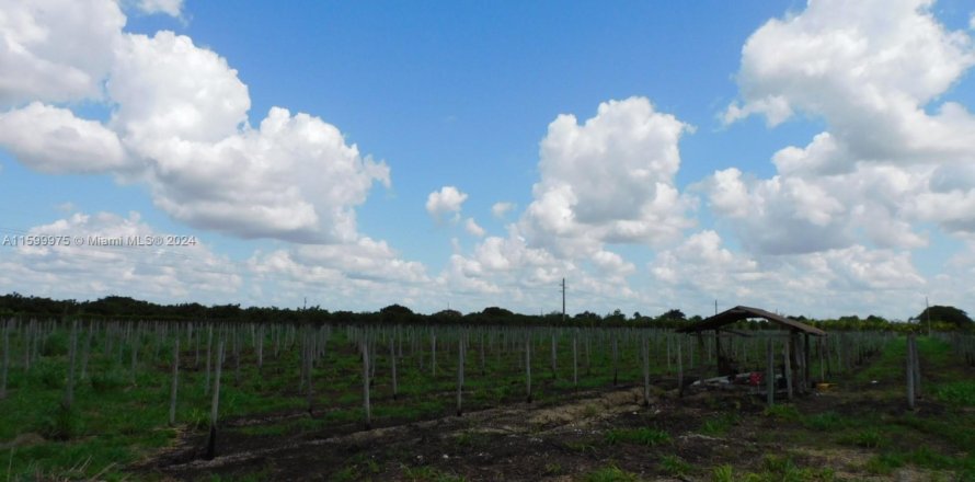 Immobilier commercial à Miami, Floride № 2019068