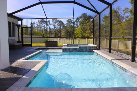 House in Lutz, Florida 4 bedrooms, 226.59 sq.m. № 1718936 - photo 15