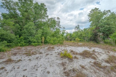 Land in North Port, Florida № 1684470 - photo 11