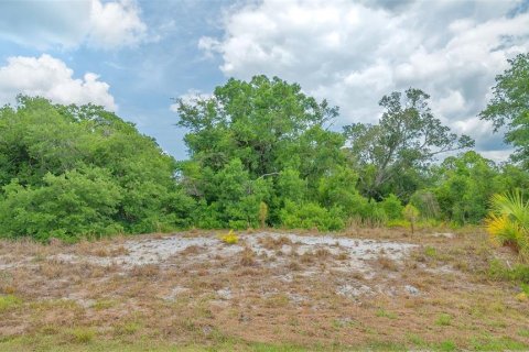 Land in North Port, Florida № 1684470 - photo 10