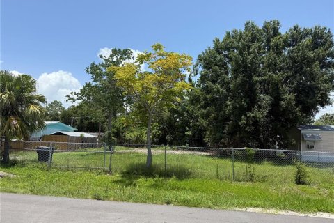 Terreno en venta en Tampa, Florida № 1774841 - foto 1