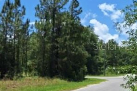Terrain à vendre à Ocklawaha, Floride № 2159610 - photo 3