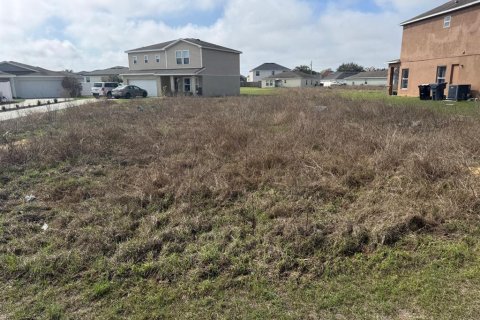 Land in Kissimmee, Florida № 2217979