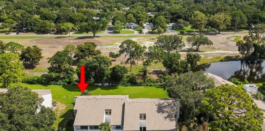 Condominio en Saint Petersburg, Florida, 2 dormitorios  № 1822981