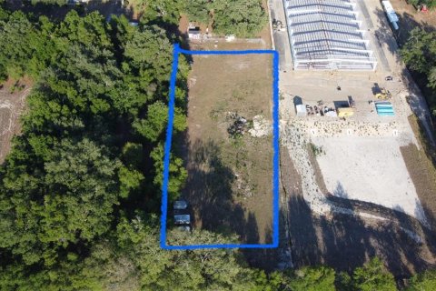 Land in Fruitland Park, Florida № 1717220 - photo 6