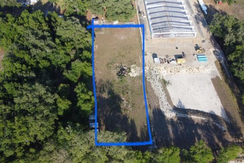 Land in Fruitland Park, Florida № 1717220 - photo 2