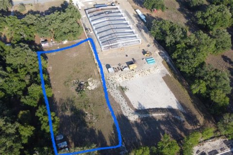Land in Fruitland Park, Florida № 1717220 - photo 3