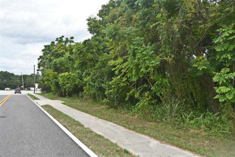 Terrain à vendre à Altamonte Springs, Floride № 2136047 - photo 6