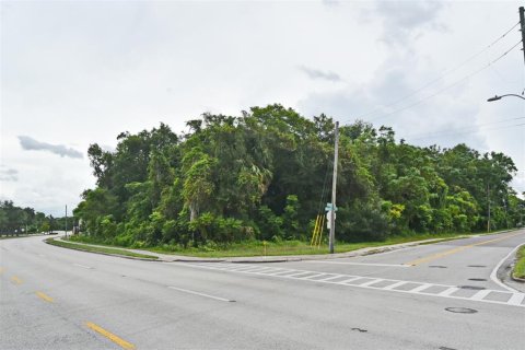 Terrain à vendre à Altamonte Springs, Floride № 2136047 - photo 4